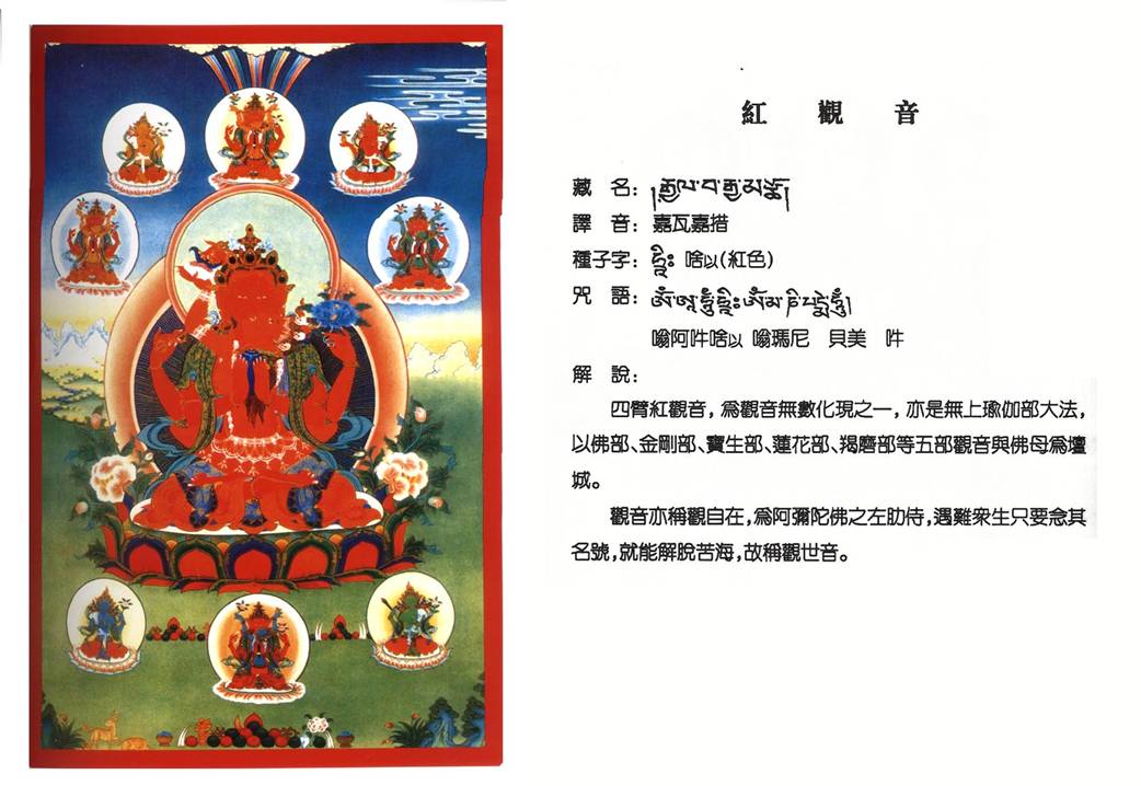 红观音+文章录入:admin